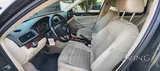 Clean Passat