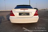 2004 Mercedes-Benz E240 Avantgarde