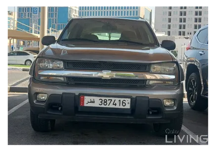 Chevrolet TrailBlazer LS 2008