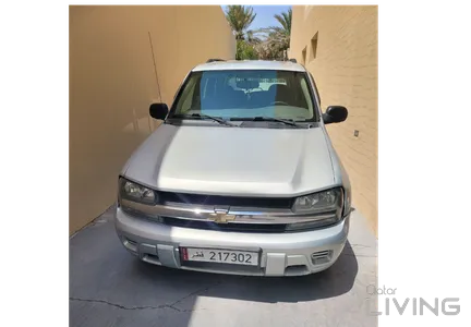 Chevrolet TrailBlazer LS 2008
