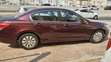 2011 HONDA ACCORD FOR SALE