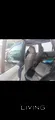 2012 Land Rover LR2 - Used, 5 Seats, Leather Interior, Petrol