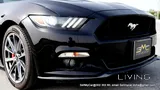 2016 Ford Mustang GT 5.0 Premium + Local Car + Full Dealer Service History!