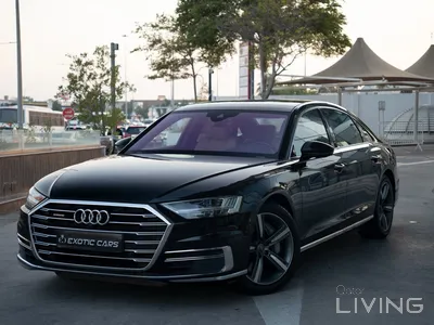 أودي أي 8 L 2019