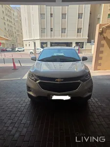 شيفروليه إيكونوكس  2019