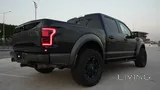 فورد رابتر 2019