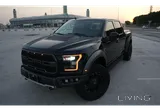فورد رابتر 2019