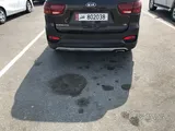 2019 Kia Sorento - Used Petrol SUV with Automatic Transmission