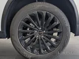 2024 Exeed TXL - Original paint