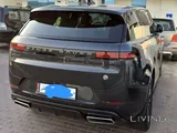 2024 Sport