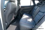 2025 FORD TERRITORY TITANIUM — QATAR SPEC