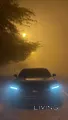 2025 Mustang Eco-boost