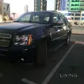 Avalanche 2013