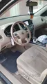 Back seats
