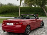 Bmw 228i Convertible