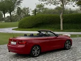 Bmw 228i Convertible