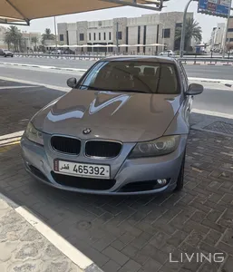 BMW 3-Series 316 i 2012