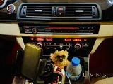 BMW 520i 2016