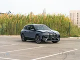 BMW IX 40 2024