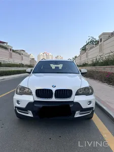 BMW X5  2010