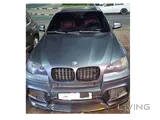 Bmw x6 2010 Ecm issue(scrap)
