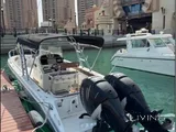 Al Dhaen 36 ft - Mercury Engines