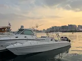 AlDhaen wave breaker 32ft Scorpion
