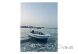Boat with 75 Mercury