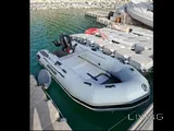 Quicksilver 320