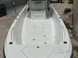 Boat 29 feet