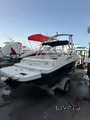 Bayliner 175 brand new