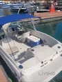 Bayliner 175 – Model Year 2010