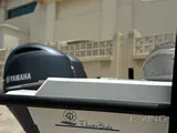 Boat 29 feet