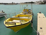 Leisure/Fishing boat 27ft