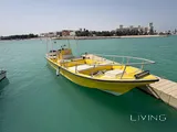 Leisure/Fishing boat 27ft