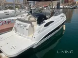 يخت ستينغراي الصغير