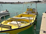 Leisure/Fishing boat 27ft
