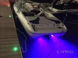 Stingray - (150 hours only )