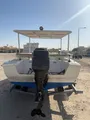 Boat with 75 Mercury