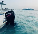 Boat with 75 Mercury