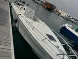 AlDhaen wave breaker 32ft Scorpion