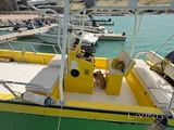 Leisure/Fishing boat 27ft