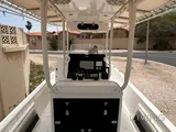 Boat 29 feet
