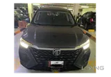 Brand new RX5