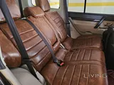 Brown pajero