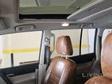 Brown pajero