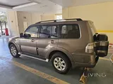 Brown pajero