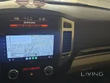 Brown pajero