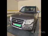 Brown pajero