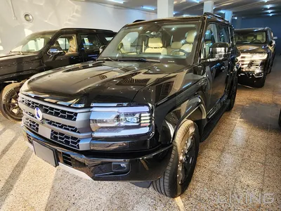 بي واي دي دينزا بي 5 2027